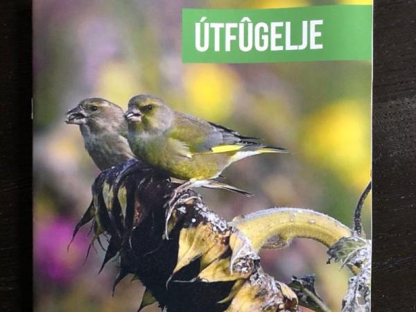 Magazine Útfûgelje - Waadrâne (2023)